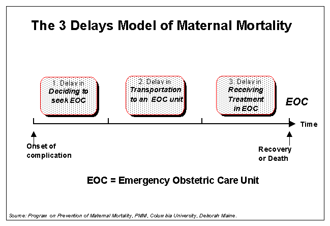 The 3 Delays Model